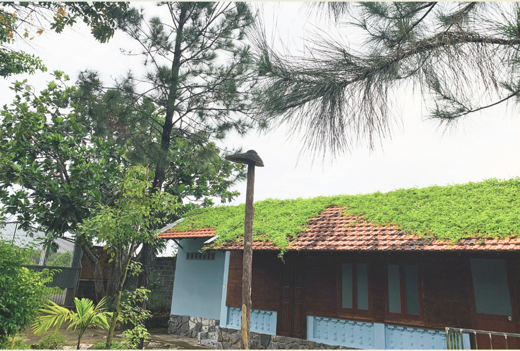 Khu nhà ở phục vụ
